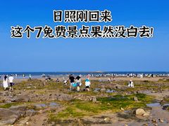 -巧克力渔家.小船海鲜家常菜(万平口店)