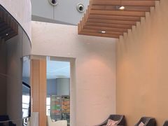 -虹桥机场国航贵宾室v8