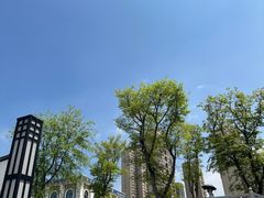 -洋湖国家湿地公园