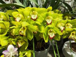 -今日陶艺(富力广场店)