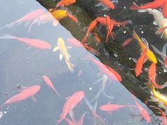 -泉乐坊步行街(烟酒特产平价超市店)