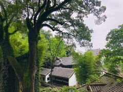 -杨裕兴(岳麓山店)