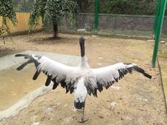 -青藏高原野生动物园
