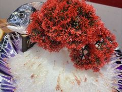 -官塘锋记鱼生·生腌·砂锅粥(牌坊街店)