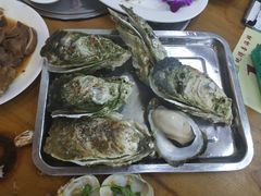 原只蒸生蚝-蚝得喜海鲜(东城店)