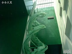 -中国科学技术馆影院