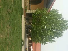 android_upload_pic-意大利农场度假村