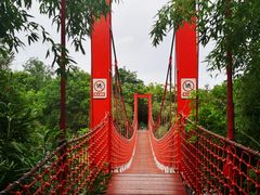 -上海吴淞炮台湾国家湿地公园