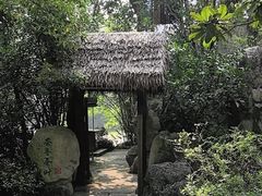 -中国茶叶博物馆(双峰馆区)