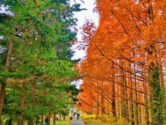 -国家植物园南园