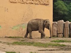 -沈阳森林动物园
