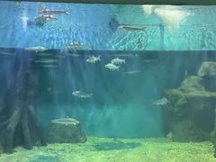 -上海长江河口科技馆