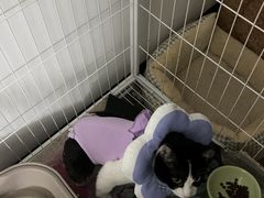 -芭比堂动物医院广州顽皮分院