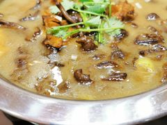 砂锅小鸡蘑菇-惠成饺子(百合园店)