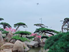 -罗红摄影艺术馆