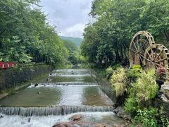 -广州白江湖森林公园