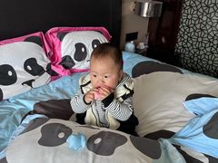 -成都保利公园皇冠假日酒店(熊猫基地店)