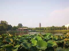 -西海子公园