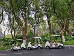 -昆山城市生态森林公园