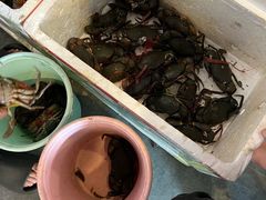 -瑞丽活螃蟹(芒市店)