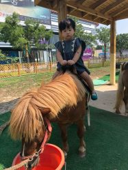 -萌宠亲子动物乐园(槐房万达店)