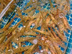 -三亚火车头万人海鲜广场