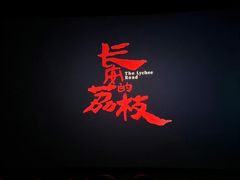 -万象影城(石家庄万象城IMAX激光店)
