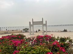 -宝安西湾红树林湿地公园