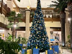 -太湖饭店玉兰厅(自助餐厅)