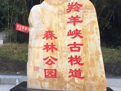 -羚羊峡古栈道森林公园