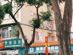 -瑞派动物医院·猫专科·至诚(江南中分院)