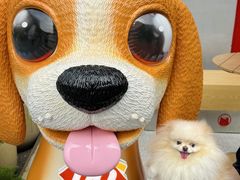 -DQ·蛋糕·冰淇淋(五角场万达店)