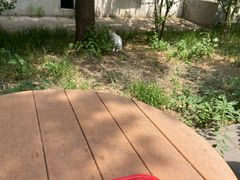 -北京大学-燕南食堂