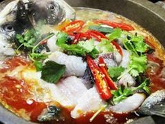 石锅鱼-兵哥活鸡鱼馆(仙乐花园店)