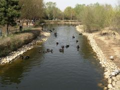 -长白岛森林公园