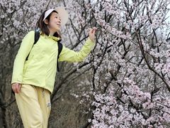 -大觉寺-停车场