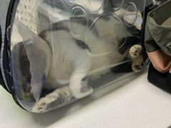 -达爱动物医院·犬猫分区·CT·复杂眼科(远洋山水分院)