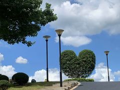 -东莞植物园