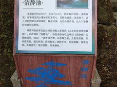 -广州白江湖森林公园