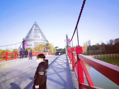 -上海市第一人民医院(松江南部)