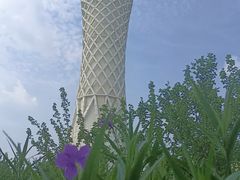 -上海滨江森林公园