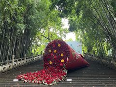 -星湖旅游景区七星岩