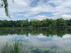 -长春市南湖公园