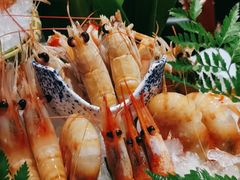 -Mr.Fish鱼鲜生海鲜放题(高德置地冬广场店)