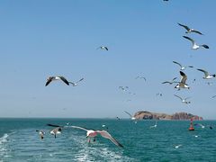 -海驴岛(荣成市)