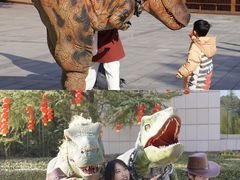 -中国西峡恐龙遗迹园