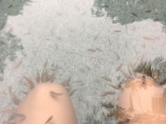 -天赐温泉