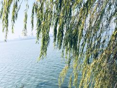 -东湖磨山景区