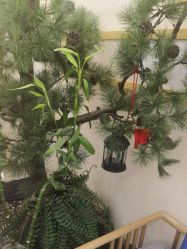 -芳朵美容养生SPA