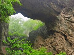 -大连天门山国家森林公园